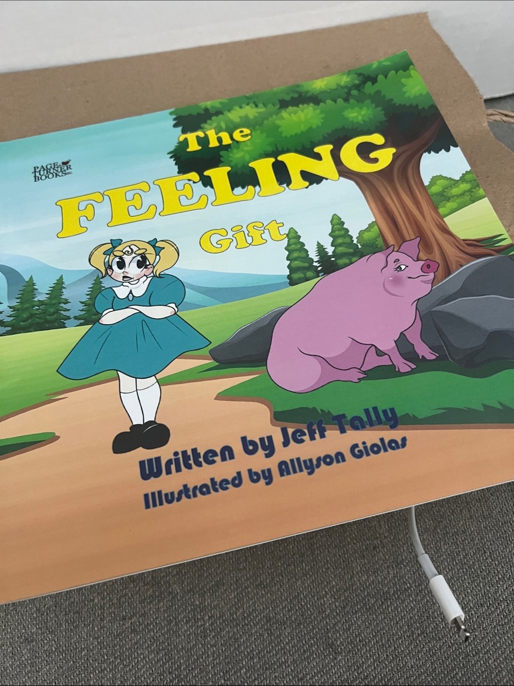 The Feeling Gift - Children's Picture Book